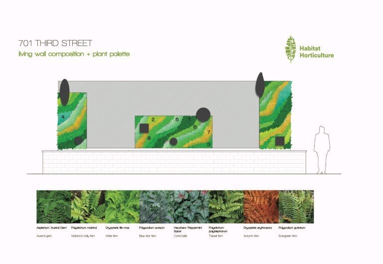 Living Wall Design Details